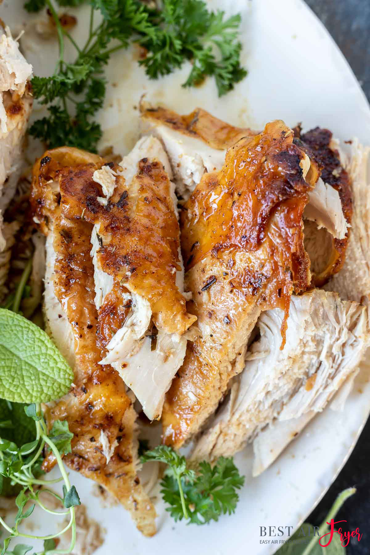 Air Fryer Turkey Breast